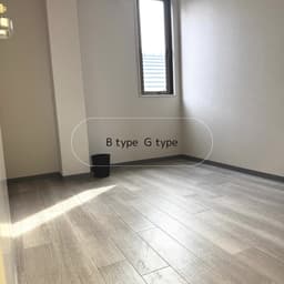 B type G type